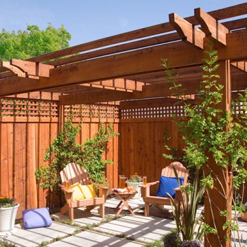 Heat-Diffusing Redwood Shade Structure