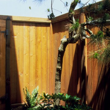 Redwood-paneled Gated Fence
