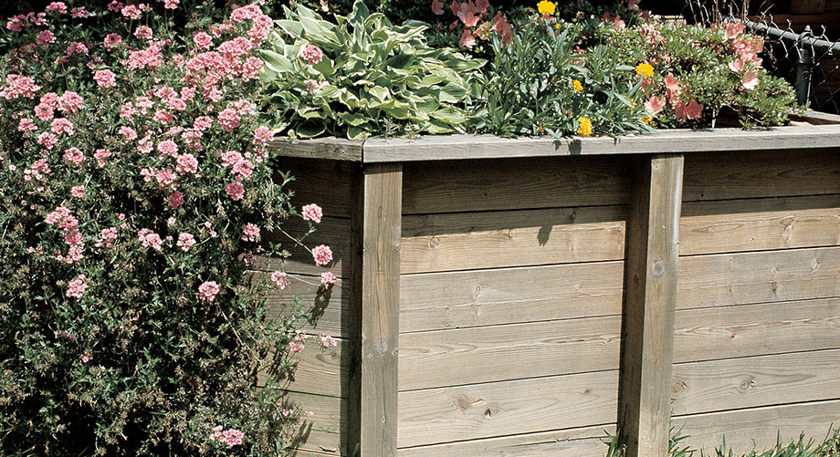 Pressure-Treated Garden Boxes