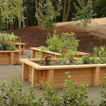Cedar Garden Boxes