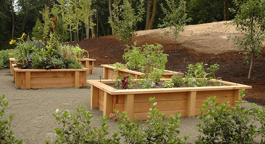 Cedar Garden Boxes
