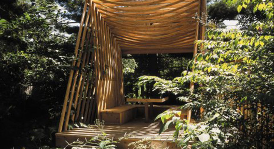 Modern Cedar Shade Structure