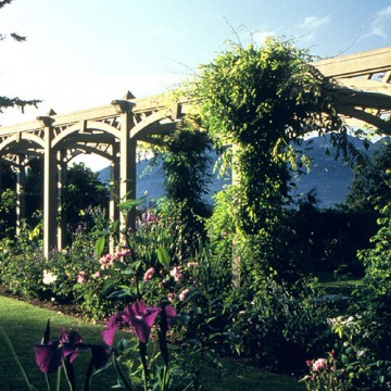 Cedar Garden Arch