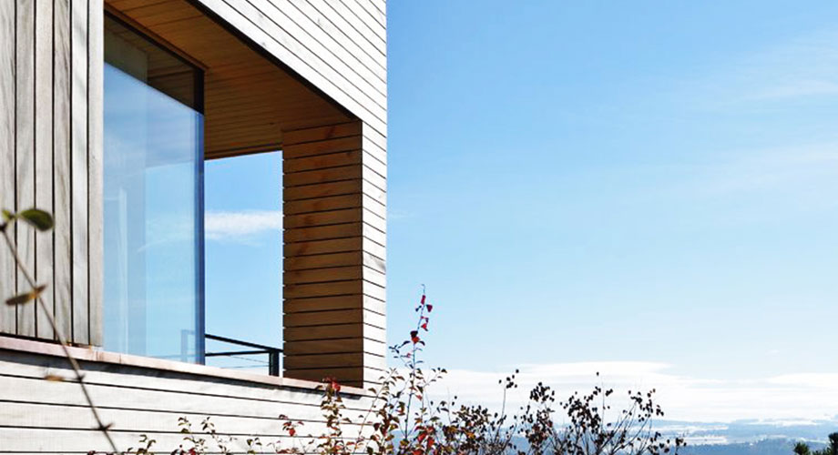 Eastern White Pine Bevel Siding